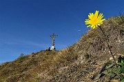 Alla CROCE del PIZZO RABBIOSO da Bracca ad anello il 15 nov. 2017